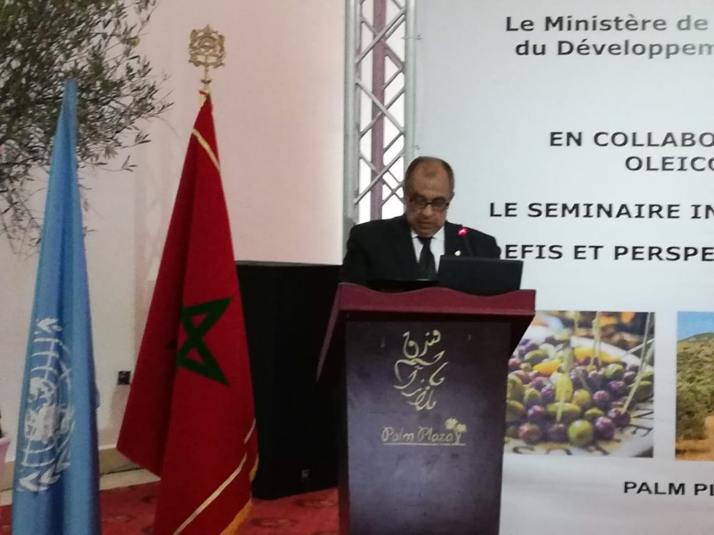 وزير الزراعة: «الدولي للزيتون» يعالج التحديات الراهنة والمستقبلية بالقطاع