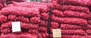 نقابة الفلاحين تطالب بفرض رسوم على صادرات البصل