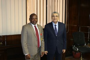 مصر تعرض مساندة تنزانيا في وضع استراتيجية للطاقة