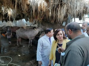 وزير الزراعة يتابع مع قيادات الخدمات البيطرية تحصين وتأمين الماشية ضمن «حياة كريمة»