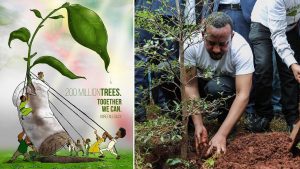 إثيوبيا تكسر الرقم القياسي العالمي بزراعة 350 مليون شجرة في 12 ساعة