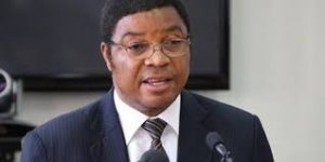 رئيس وزراء تنزانيا: بلادنا مفتوحة أمام المستثمرين المصريين.. ومستعدون لتقديم الحوافز