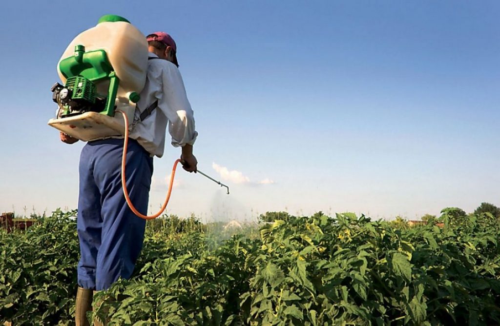 الزراعة : تدريب 17 ألف فلاح في مجال ترشيد استخدام المبيدات