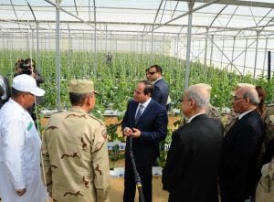 نقيب الزراعيين: السيسي يقود نهضة مصر الزراعية ومشروع الصوب الأكبر في العالم (فيديو)