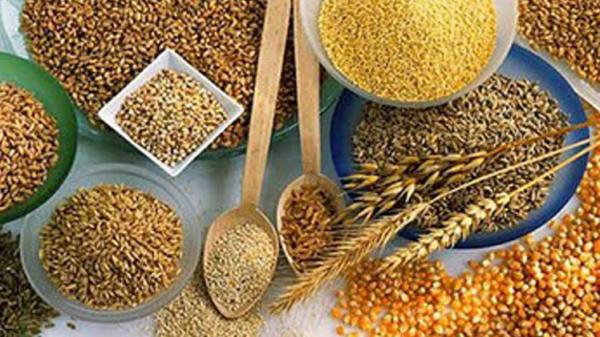 شركة تجارة حكومية روسية تنوي التوسع في تصدير الحبوب لمصر