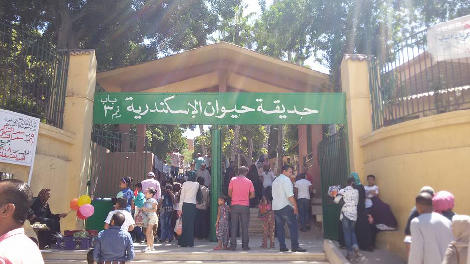 4 آلاف زائر لحديقة حيوان الإسكندرية أول أيام عيد الأضحى