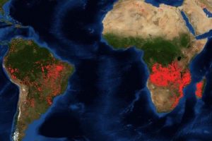 «العالم غير مهتم».. حرائق الغابات في أفريقيا أكبر من الأمازون