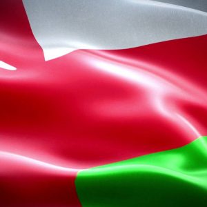 الاستثمارات الأجنبية المباشرة تنمو في سلطنة عمان إلى 46.7 مليار دولار