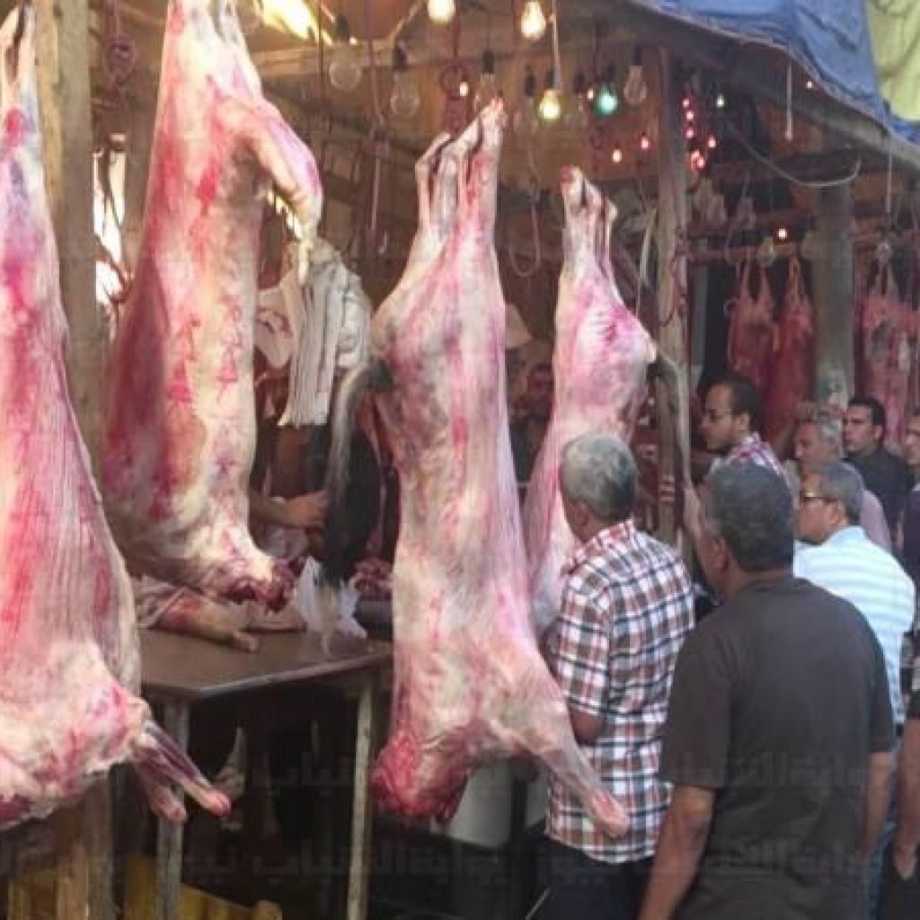 التموين تحذر المواطنين: ذبح الأضحية وتعبئة اللحوم دون تبريدها يؤدي إلي  افسادها - جريدة المال