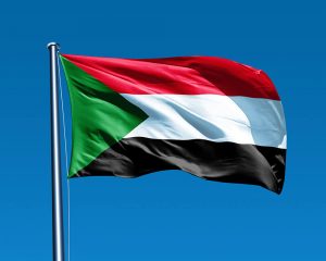 شركات مصرية تبدي تخوفها من تعطل مشروعاتها في جنوب السودان بسبب «‬الاستفتاء»
