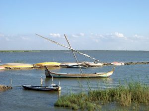 نتائج حملة إزالة التعديات والصيد المخالف في بحيرة البرلس