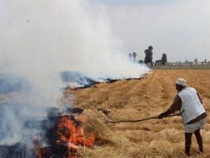 وزيرة البيئة: تطبيق القانون على المخالفين في حرق قش الأرز‎