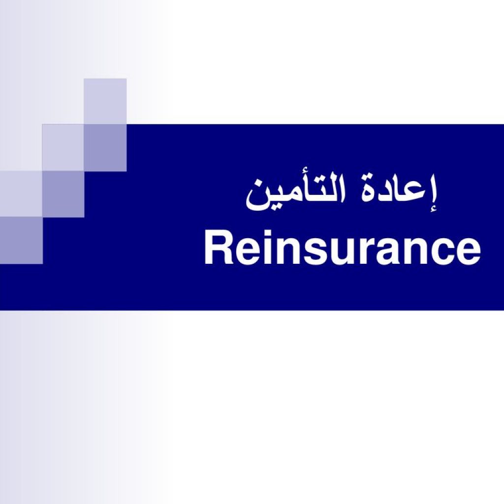 أنواع اتفاقيات إعادة التأمين وأهدافها للشركات المصرية (انفوجراف)