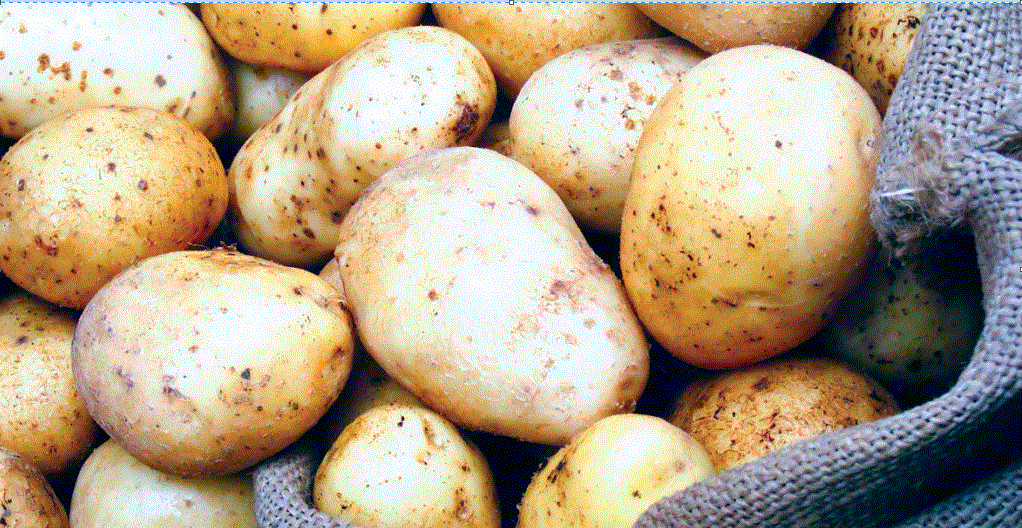 تباين أسعار البطاطس في الأسواق