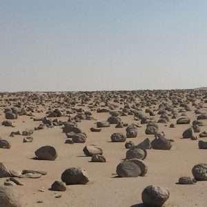تعرف على «البطيخ الجيولوجي» الموجود بكثرة في الصحراء الغربية (صور)