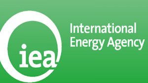 «الوكالة الدولية للطاقة» تتوقع زيادة 50% فى الطاقة المتجددة المنتجة بالعالم