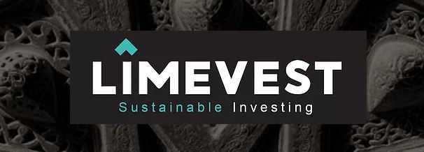 «LimeVest Partners» تطمح فى جمع 100 مليون دولار لاستثمارها فى مصر