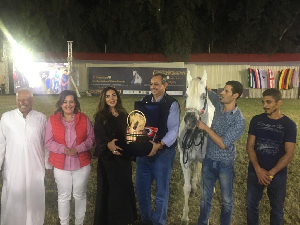 بمشاركة 142 حصانًا.. السعودية تستحوذ على جوائز بطولة مصر الدولية لجمال الخيول (صور)