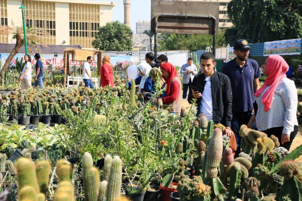 تعرف على أنواع وفوائد نبات الصبار بمعرض زهور الخريف فى القاهرة