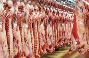 أسعار اللحوم البقري والضاني في الأسواق اليوم الثلاثاء 6-6-2023