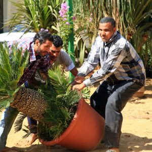 «الزراعة» : معرض زهور الربيع يوزع 5000 شتلة زينة ونباتات مجانا على الأمهات