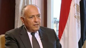 شكري: العلاقات المصرية الأمريكية استراتيجية.. والإدارة الجديدة كان لها أولويات على الساحة الداخلية (فيديو)