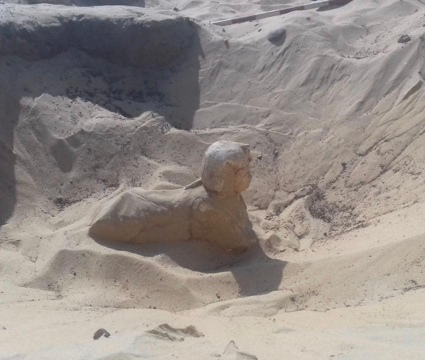 مصر تعلن عن كشف أثرى جديد «تمثال ملكى على هيئة أبى الهول» (صور)