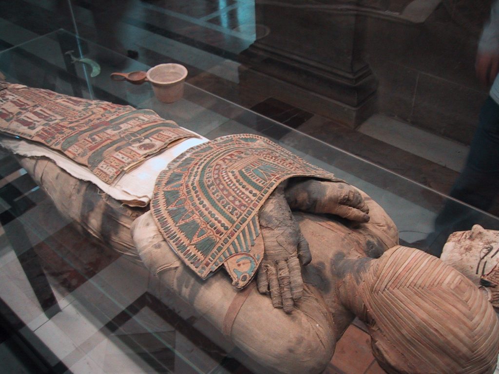 «الأعلى للآثار»: غلق قاعتي المومياوات الملكية بالمتحف المصري.. والشرح عبر الأنظمة الصوتية