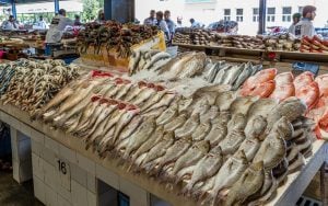 أسعار السمك اليوم 21-2-2024 في مصر