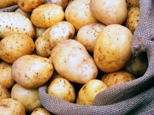 ارتفاع أسعار البطاطس في الأسواق