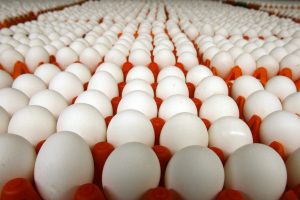 أسعار البيض فى الولايات المتحدة تقفز %23 فى أبريل