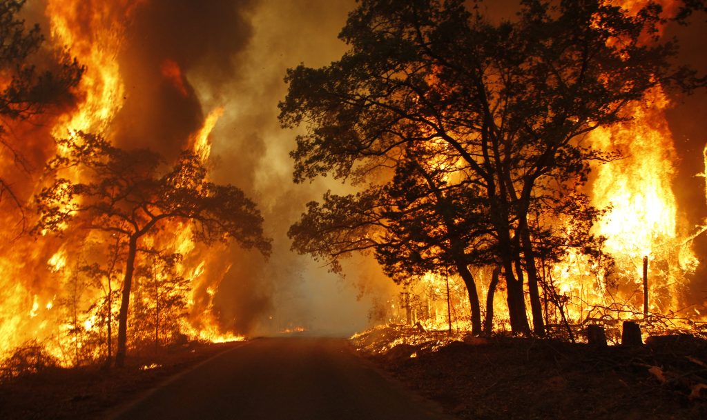 في ذكرى حريق «أتيكا» 2018.. هل للتأمين دور في تغطية كوارث الطبيعة؟ (جراف)