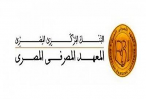 المعهد المصرفى المصرى يستعين بتجارب دولية لتطوير فروعه