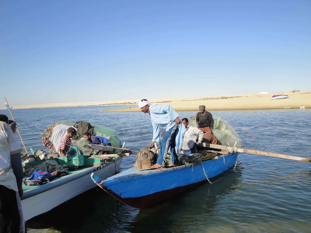 وزيرة البيئة : نعمل على وضع محميات محافظة الفيوم على خريطة السياحة البيئية بمصر والعالم
