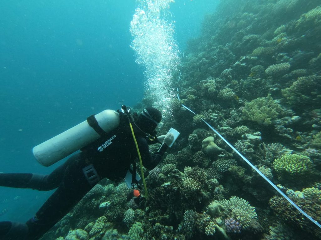 «وزارة البيئة» تنفذ أول مسح بحرى شامل لمنطقة خليج العقبة (صور)