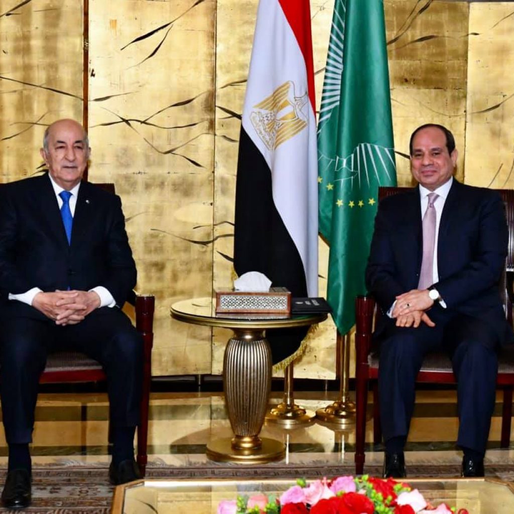 السيسي يتوافق مع الرئيس الجزائري على تكثيف التنسيق في الأزمة الليبية (صور)