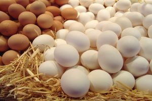 الخسائر تلاحق ملاك المزارع بعد تراجع أسعار البيض
