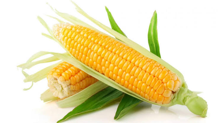 «الزراعة» تستهدف الوصول بمساحة الذرة إلى 3 ملايين فدان