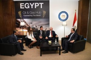 الملا يلتقي ممثلي «وايلد ويل» العالمية لبحث زيادة استثماراتها في مصر
