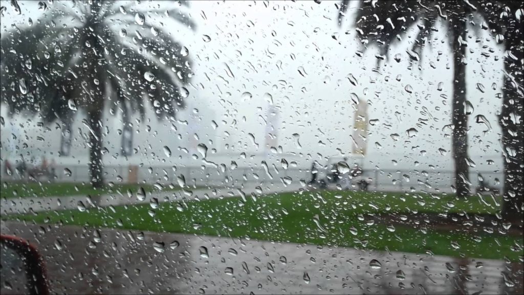 حالة الطقس غدا الجمعة.. أمطار رعدية وشبورة كثيفة
