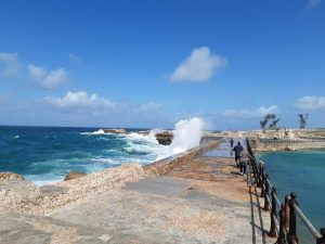 الهيئة العامة للشواطئ تبدأ إجراءات حماية الحائط البحري في منطقة المنتزه