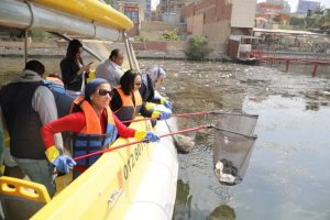 وزيرة البيئة تقود حملة تنظيف النيل من المخلفات بالجيزة (صور)
