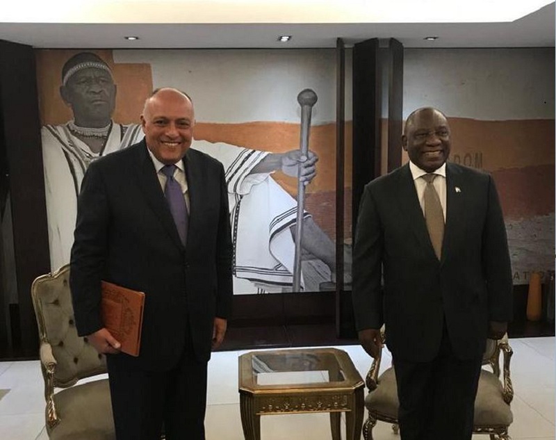 وزير الخارجية يسلم رئيس جنوب أفريقيا رسالة "السيسي"