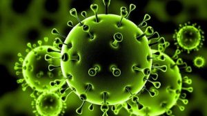 باحثون هولنديون يكتشفون أول جسم مضاد لفيروس كورونا