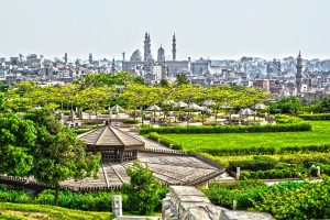 محافظة القاهرة تقرر فتح جميع الحدائق أمام الزائرين غدا بنسبة إشغالات 50%
