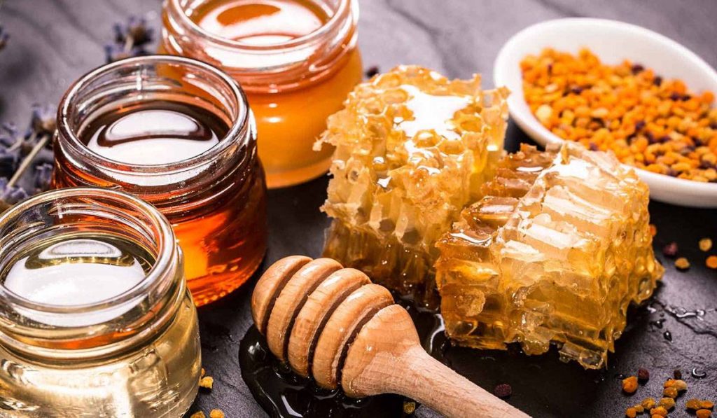 «الزراعة» : افتتاح مهرجان العسل المصري في نسخته الثالثة بحديقة الأورمان
