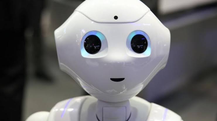 وايد بوت: ارتفاع 100% في الطلب على روبوتات الدردشة بالعربية خلال 6 أشهر
