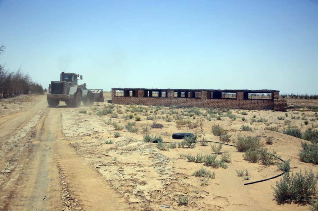 «الريف المصري» تقر حزمة حوافز للمنتفعين بأراضى مشروع الـ1.5 مليون فدان