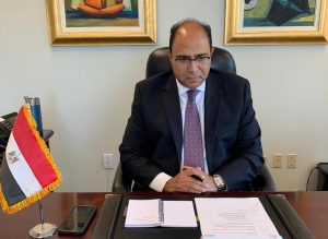 سفير مصر في كندا يستعرض الجهود المصرية لتوفير الحماية للمرأة خلال جائحة كورونا