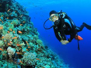 السياحة: مدّ وقف ترخيص مراكز الغوص في سيناء والبحر الأحمر لمدة عام
